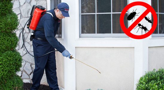 Kadınhanı Sivrisinek İlaçlama böcek ilaçlama ve haşere kontrolü — ilaclama-tr.com